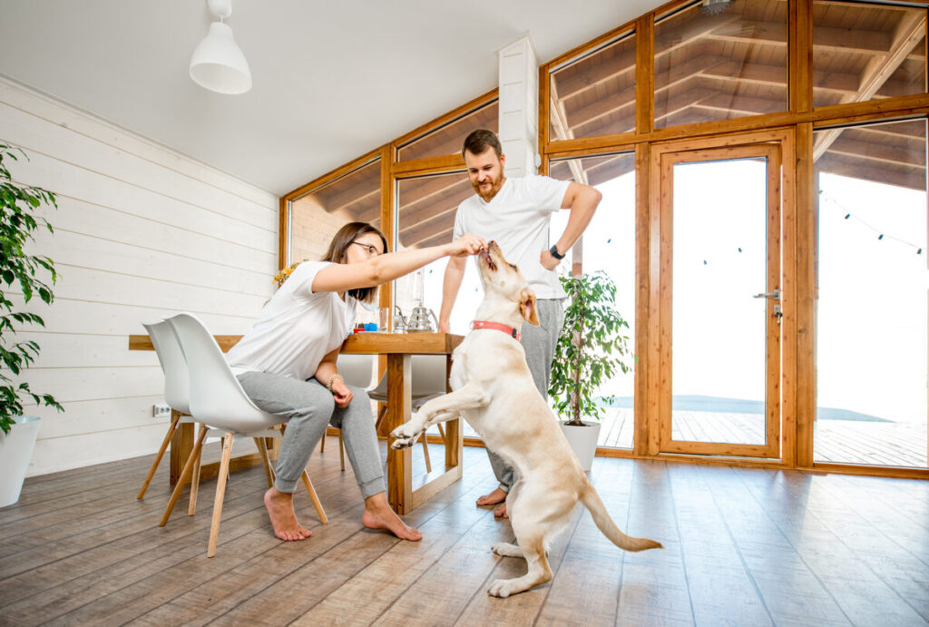 Living in Shadow Canyon: A Warm Welcome to One of Highlands Ranch’s Hidden Gems